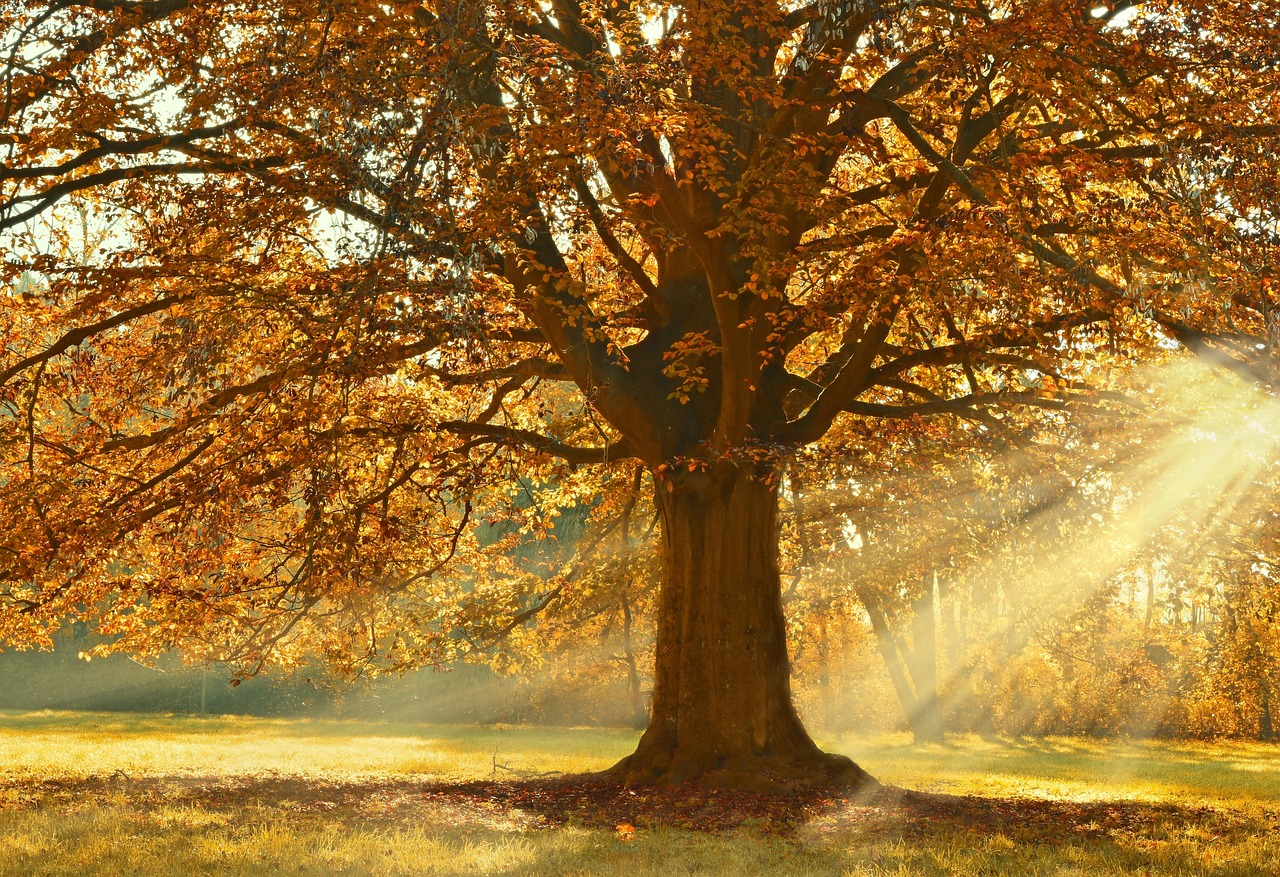 Verlichte tuinbeelden creëren sprookjesachtige sfeer. Verlichte tuinbeelden creëren sprookjesachtige sfeer.