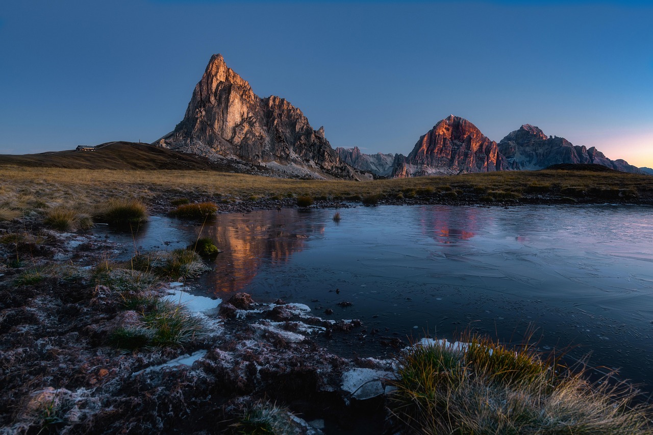Eenden zwemmen in ecologische, serene vijver.