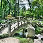 Tuinpaden ontwerpen: maak van je tuin een kunstwerk