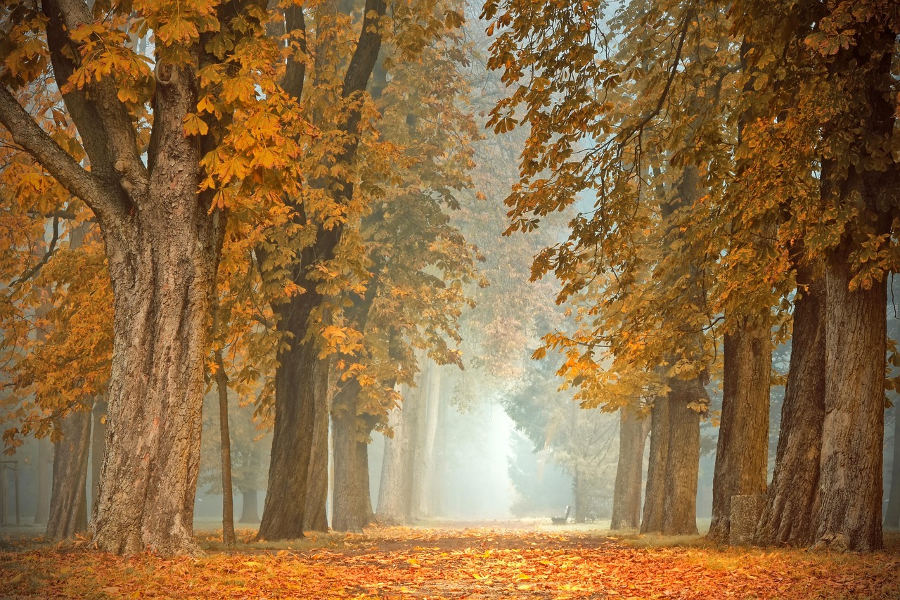 Tuinier plaatst herfstproof tuinaccessoires. Tuinier plaatst herfstproof tuinaccessoires.