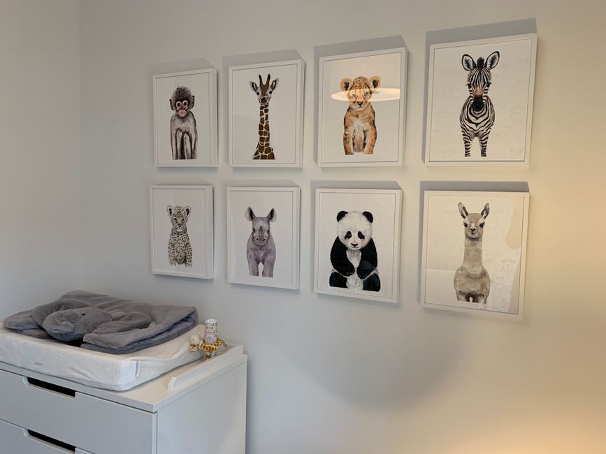 Zebra gestreept vloerkleed in gezellige woonkamer. Zebra gestreept vloerkleed in gezellige woonkamer.